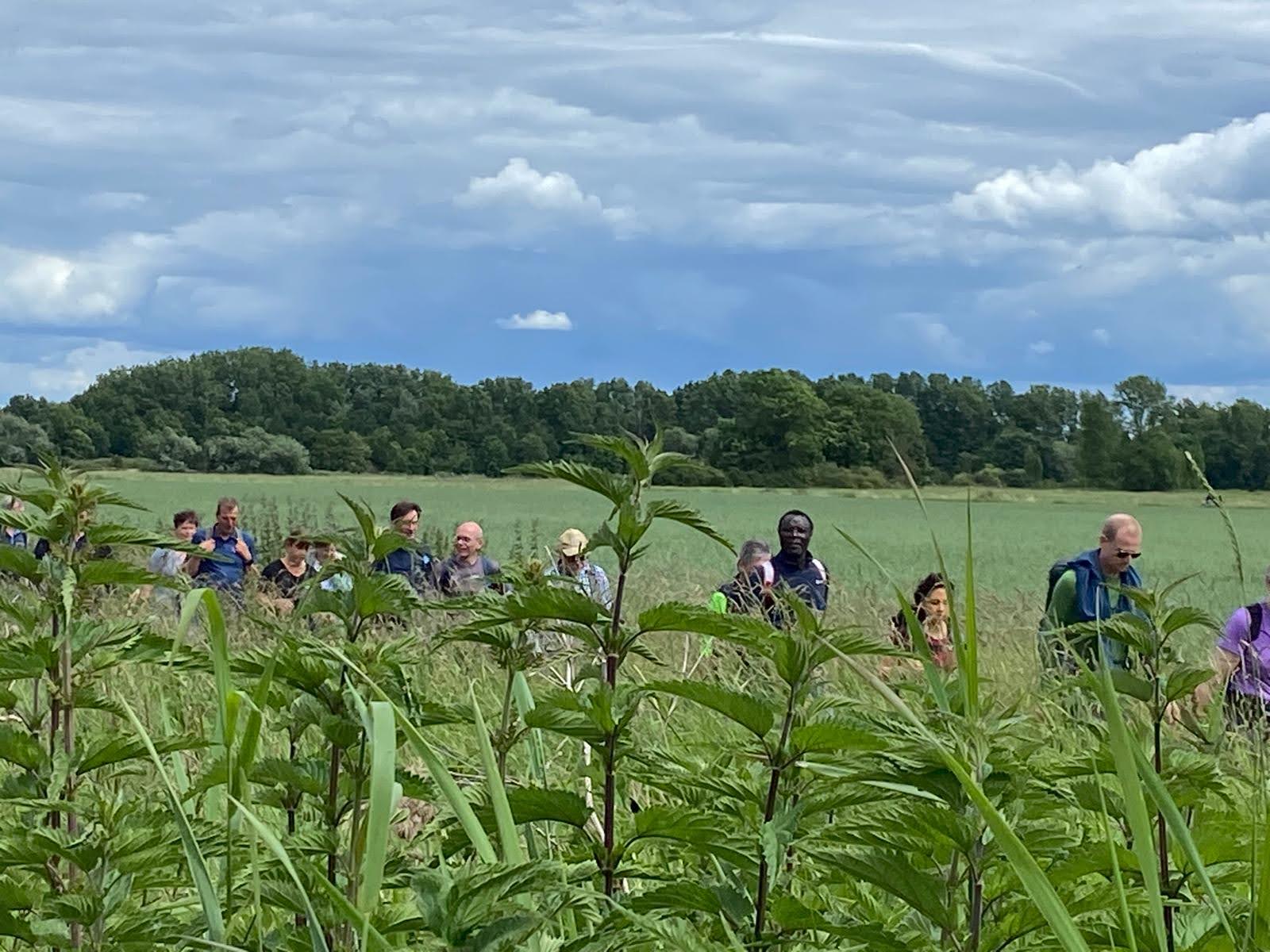 Laatzen Wanderung